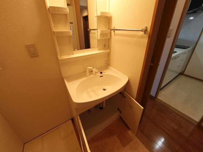洗面設備　脱衣所　独立洗面台（シャンプードレッサー付）収納スペース有