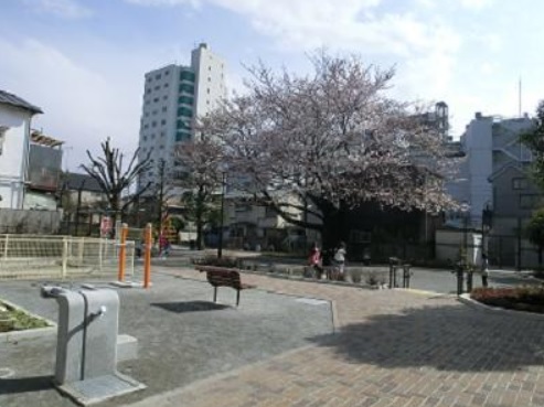 公園　野沢二丁目公園（公園）まで584m