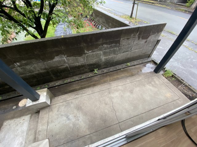 庭