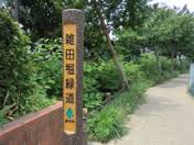 公園　雑田堀緑道（公園）まで255m