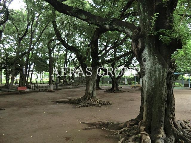 公園　宮前公園（公園）まで365m