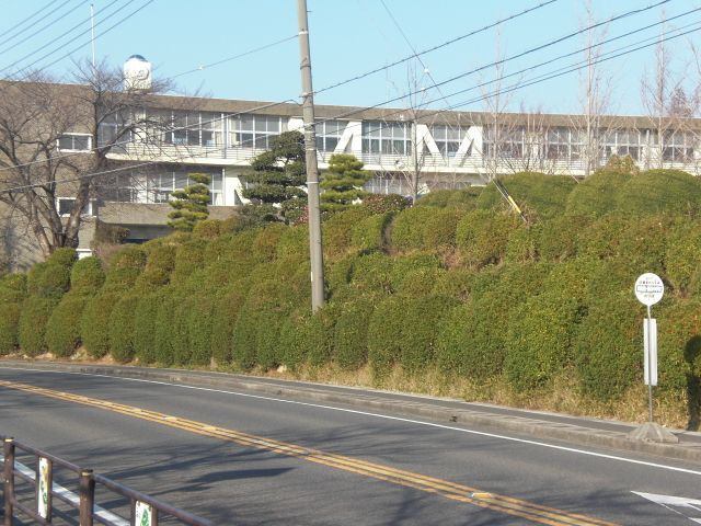 中学校　豊明市立豊明中学校（中学校）まで686m