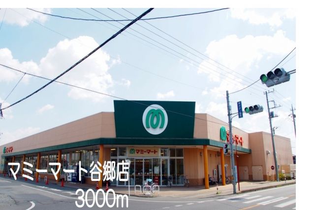 スーパー　マミーマート谷郷店（スーパー）まで3000m