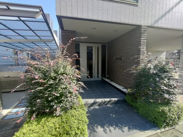 庭