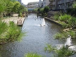公園　木場親水公園（公園）まで740m
