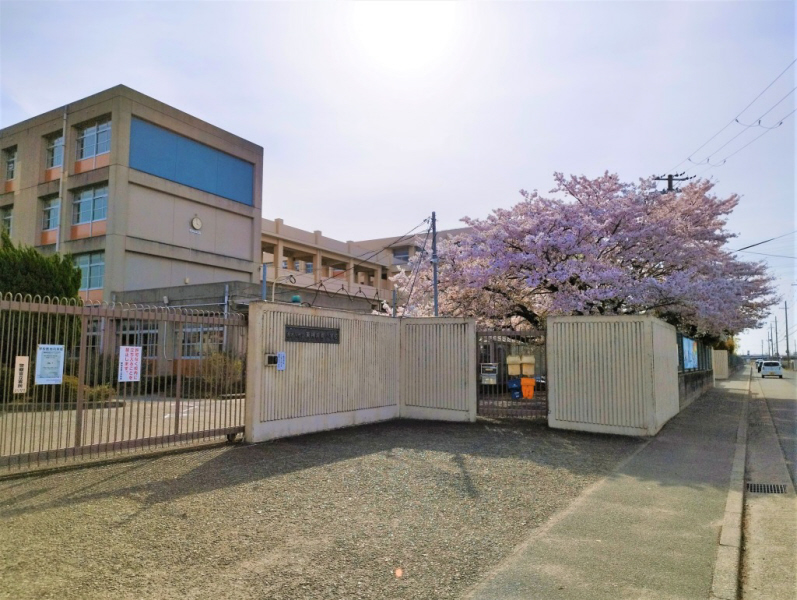 小学校　東神吉南小学校（小学校）まで799m