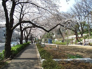 公園　赤羽台公園（公園）まで1021m