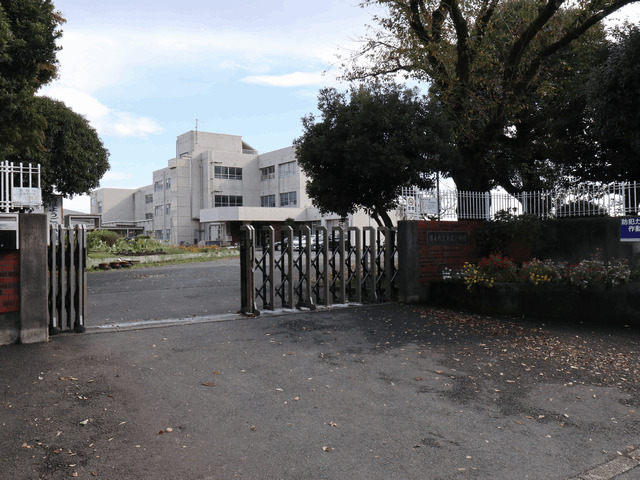 小学校　厚木市立鳶尾小学校（小学校）まで497m
