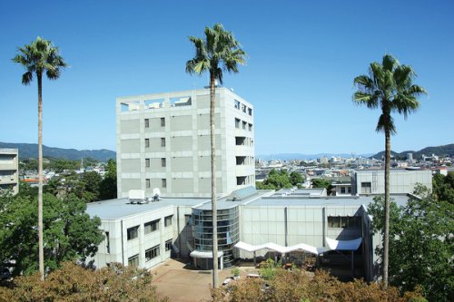大学・短大　国立高知大学（大学・短大）まで411m