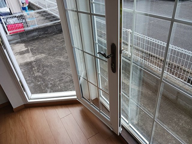 庭
