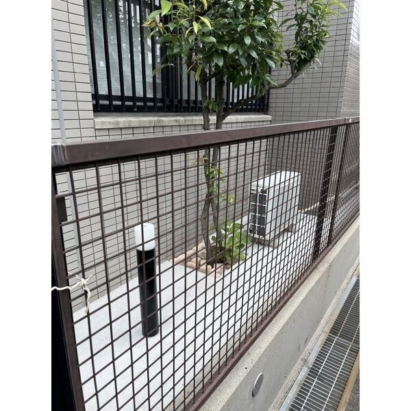 庭