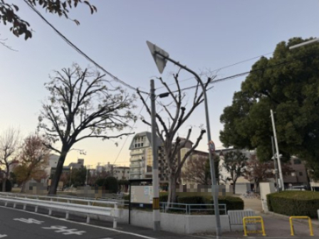 公園　西長居公園（公園）まで184m