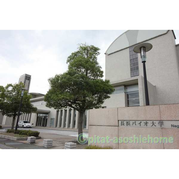 図書館　長浜バイオ大学図書情報センター（図書館）まで2543m