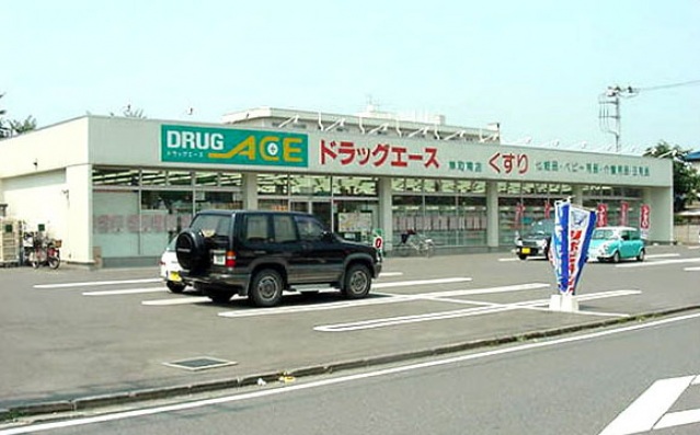 ドラックストア　ドラッグ・エース岸町南店（ドラッグストア）まで494m