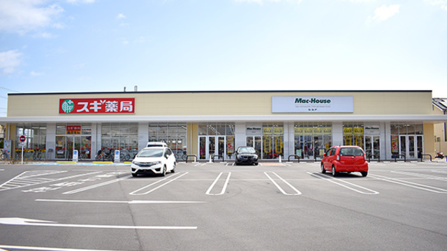 ドラックストア　スギ薬局堺大野芝店（ドラッグストア）まで703m