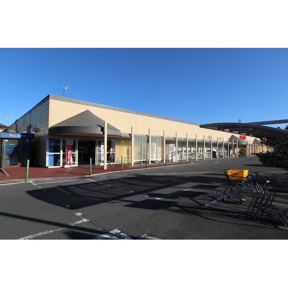 スーパー　西友島内店（スーパー）まで410m