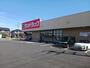 ドラックストア　サンドラッグ 蔵波台店（ドラッグストア）まで1300m