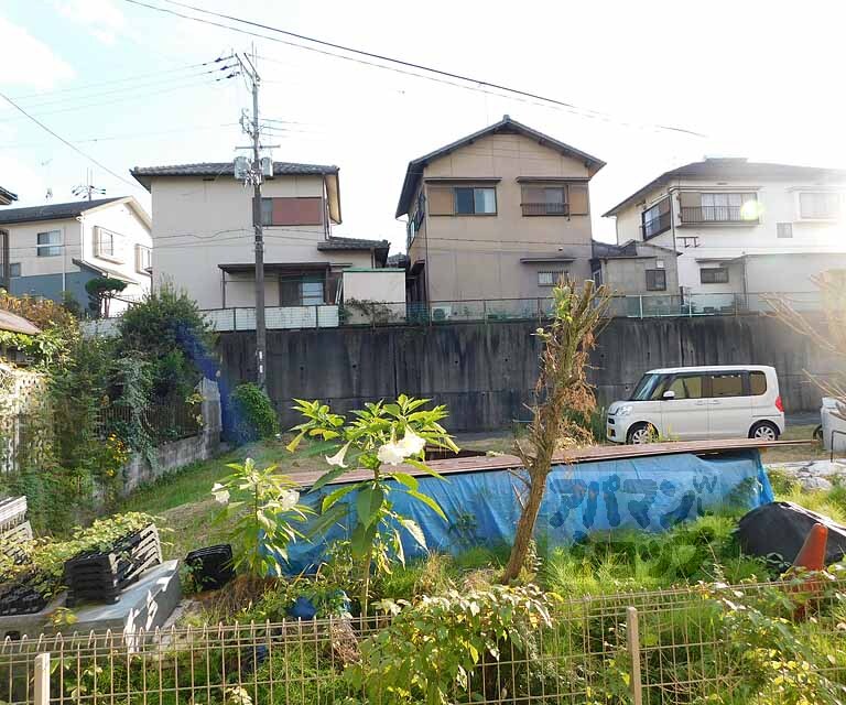 眺望　いい景色です。