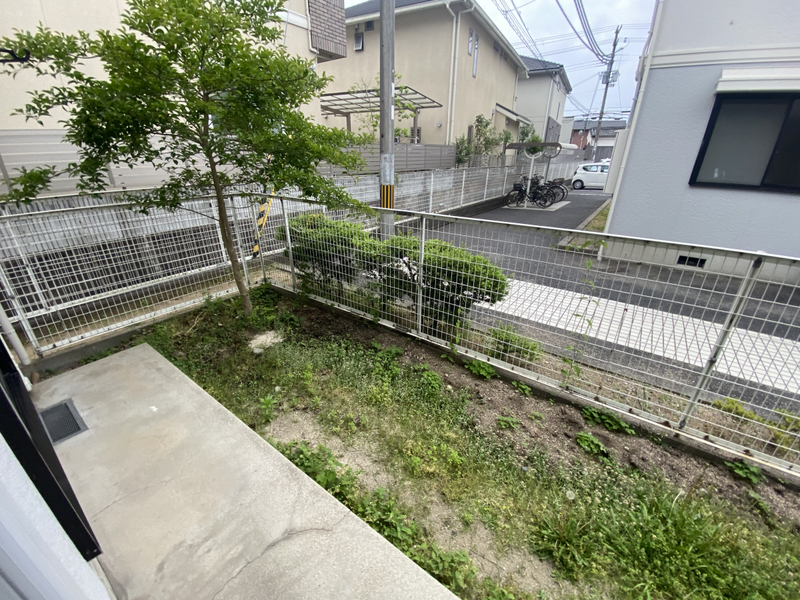 庭