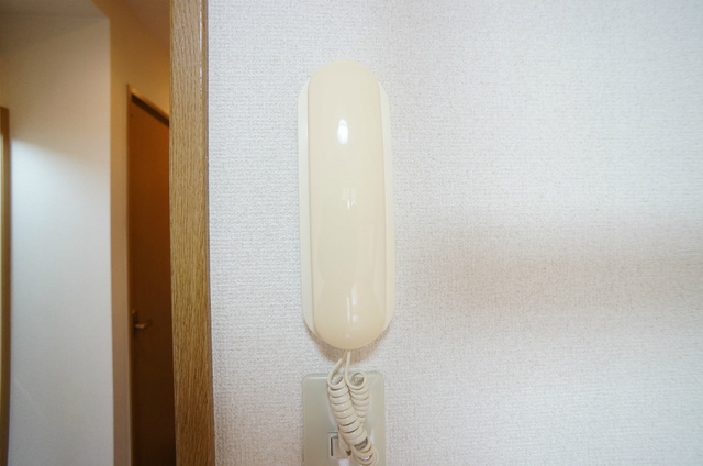 ボーンブンのその他写真