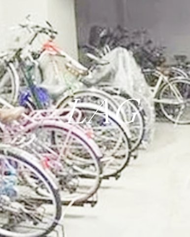 その他共有部分　駐輪場です。
