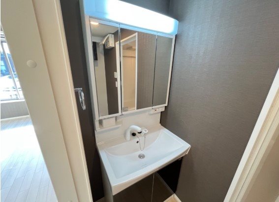 洗面設備　※同型のお部屋