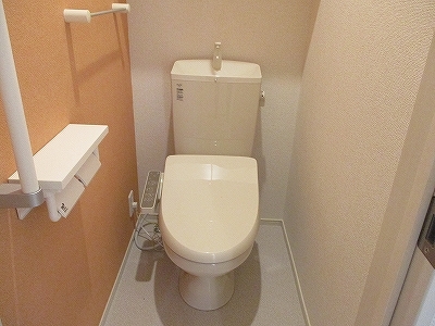 天竜浜名湖鉄道 桜木駅 徒歩9分 2階建 築8年のトイレ写真
