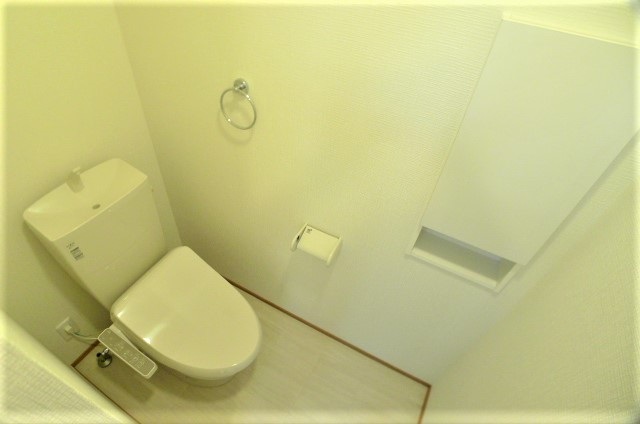 グレイスコートIIIのトイレ写真