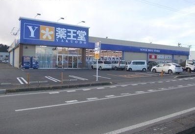 ドラックストア　薬王堂川崎店（ドラッグストア）まで2200m