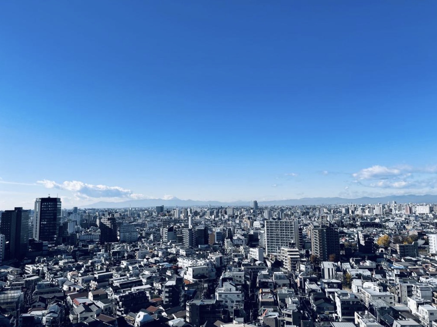 コンシェリア西新宿TOWER’S WESTのその他写真