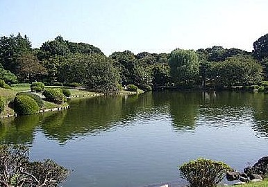 【新宿区愛住町のマンションの公園】