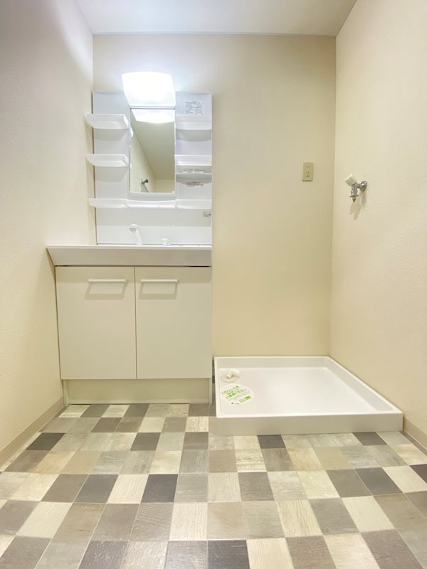 洗面設備　お掃除にも便利なシャワードレッサー