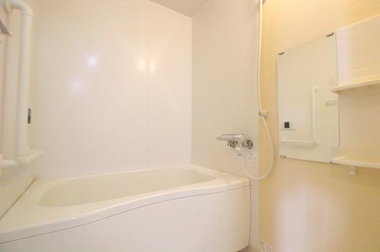 バス・シャワールーム　類似部屋写真（部材色が異なる場合がございます）