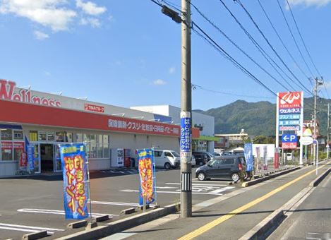 ドラックストア　ドラッグストアウェルネス 大塚店（ドラッグストア）まで674m