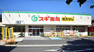 ドラックストア　スギ薬局調剤 板橋幸町店（ドラッグストア）まで247m