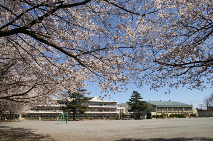 小学校　大砂土東小学校（小学校）まで830m