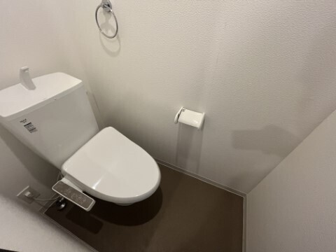 トイレ　トイレも気になるポイント