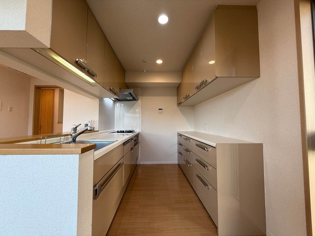キッチン　ホワイトと木目を基調としたシステムキッチンです☆カップボード