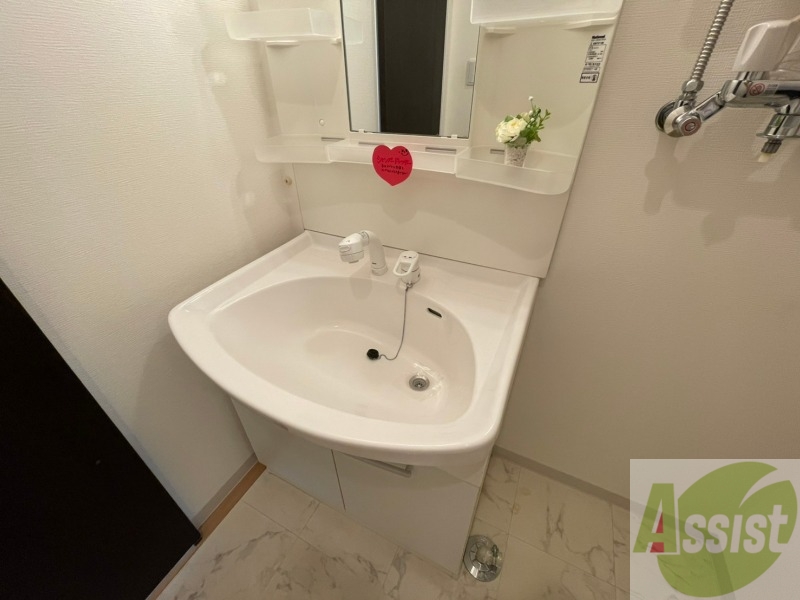 洗面設備　シャンプードレッサー。身支度はここでばっちりですね。