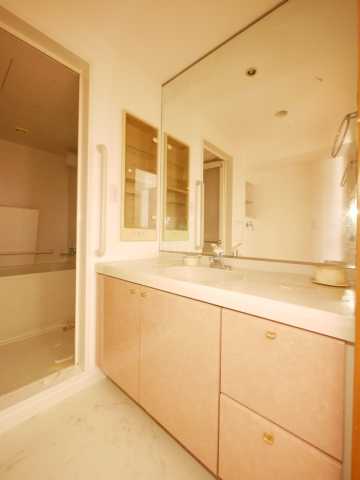 洗面設備　本駒込Kマンション　反転タイプの部屋写真