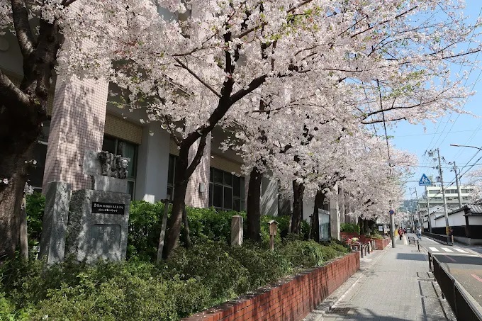 小学校　京都市立洛央小学校（小学校）まで790m