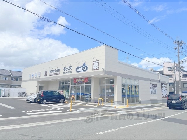 ドラックストア　ダックス京都吉祥院前河原店（ドラッグストア）まで1100m