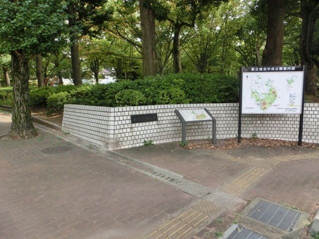 公園　公園（公園）まで10m