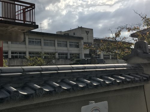小学校　斑鳩町立斑鳩小学校（小学校）まで1259m