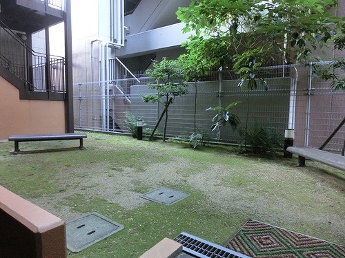 庭
