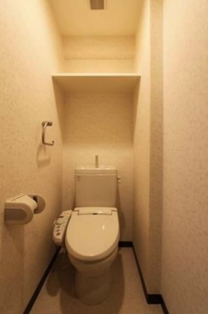 ラグジュアリーアパートメント両国のトイレ写真