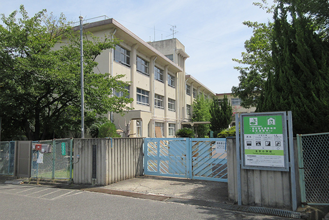 小学校　柏原市立玉手小学校（小学校）まで638m