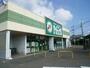 スーパー　FOOD MARKET POTATO(フードマーケットポテト（スーパー）まで263m