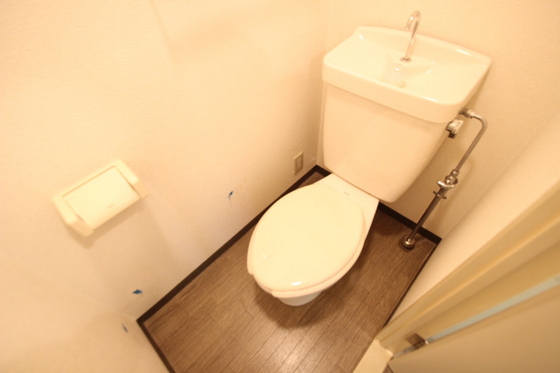 トイレ　※別号室の写真です