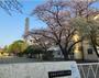 小学校　多摩市立多摩第三小学校（小学校）まで388m